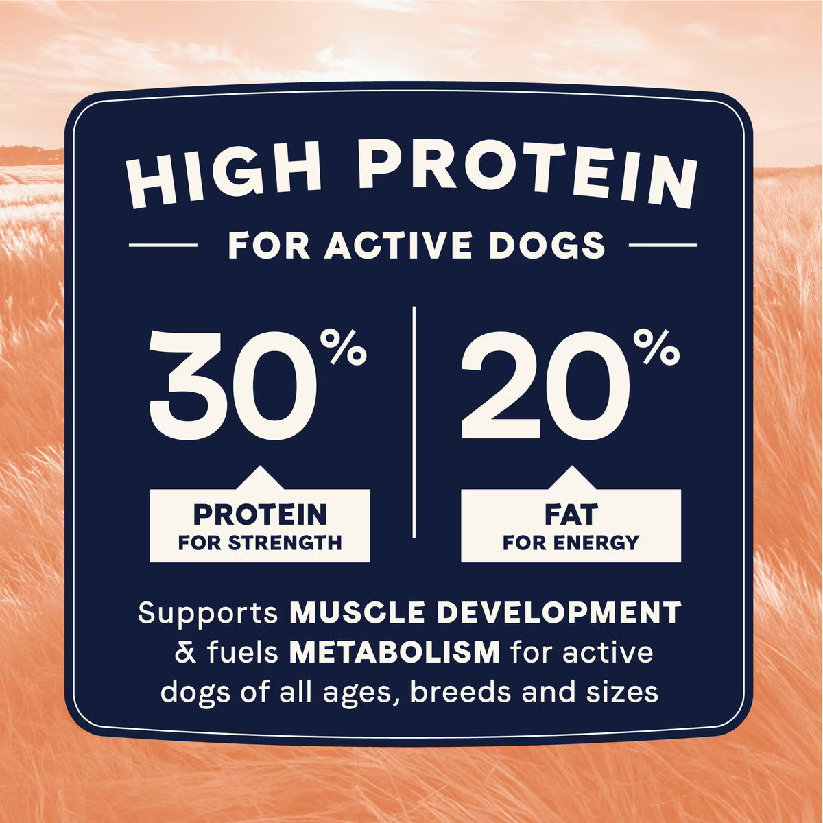 CANIDAE All Life Stages Salmon Recipe High Protein with Ancient Grains Dry Dog Food 5 lbs