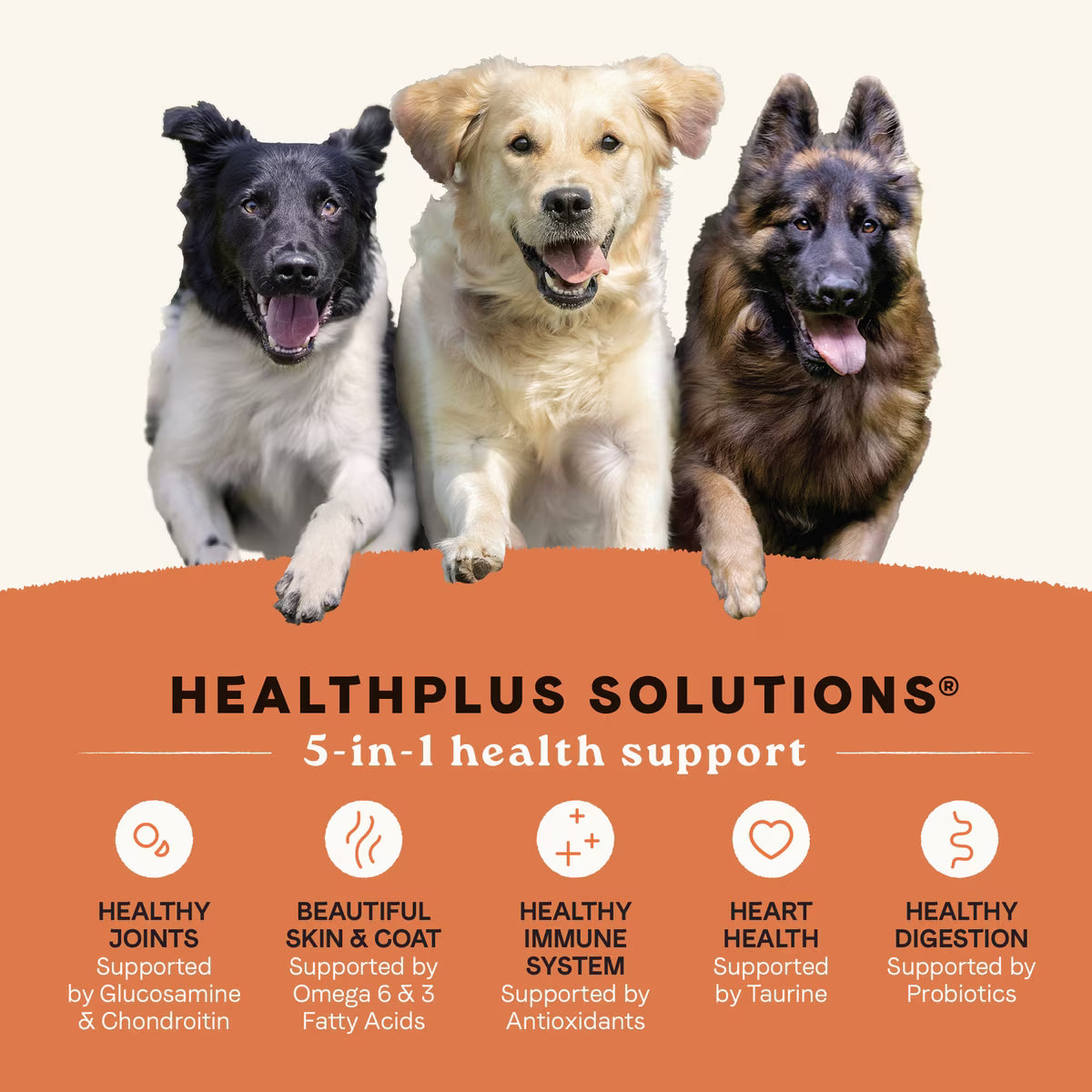 CANIDAE All Life Stages Salmon Recipe High Protein with Ancient Grains Dry Dog Food 5 lbs