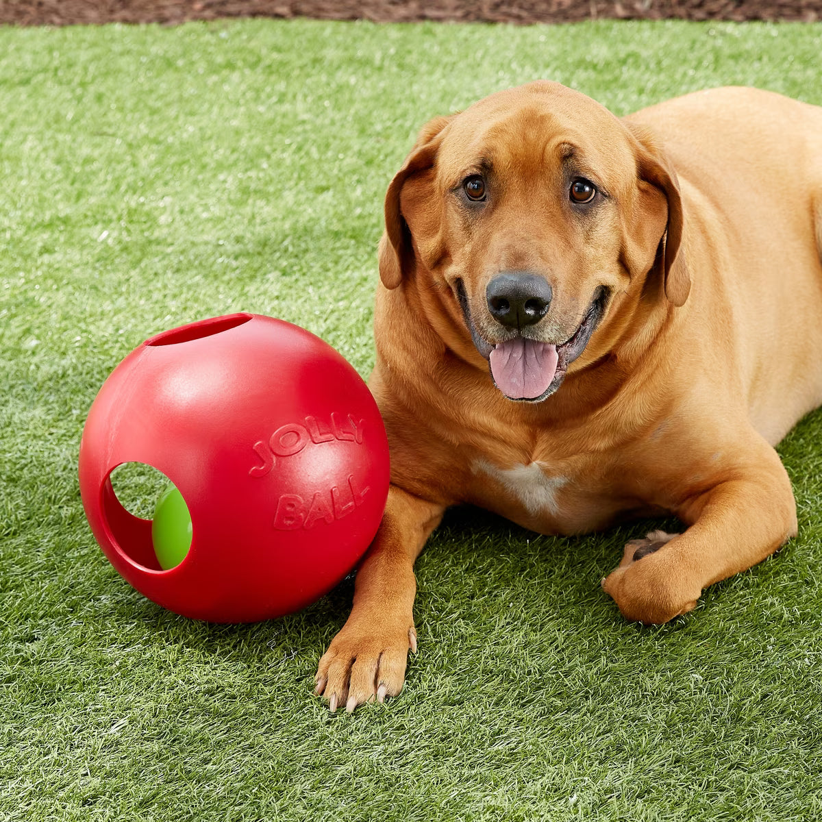 JOLLY BALL TEASER BALL RED 10"