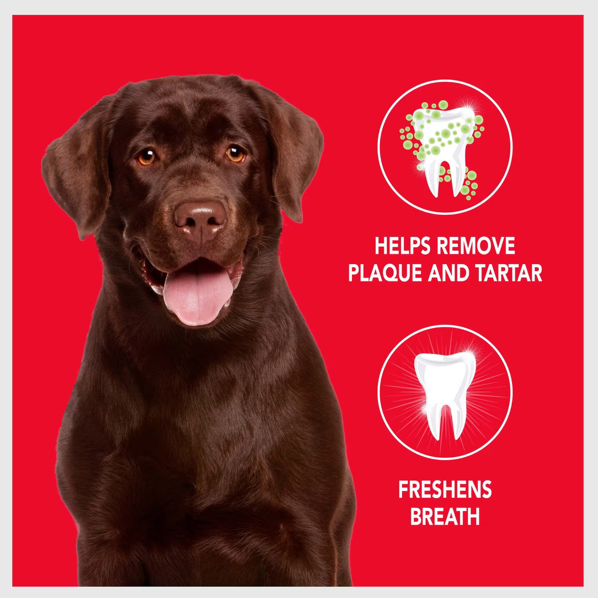 Sentry Petrodex Veterinary Strength Enzymatic Poultry Flavor Dog Toothpaste 6.2oz