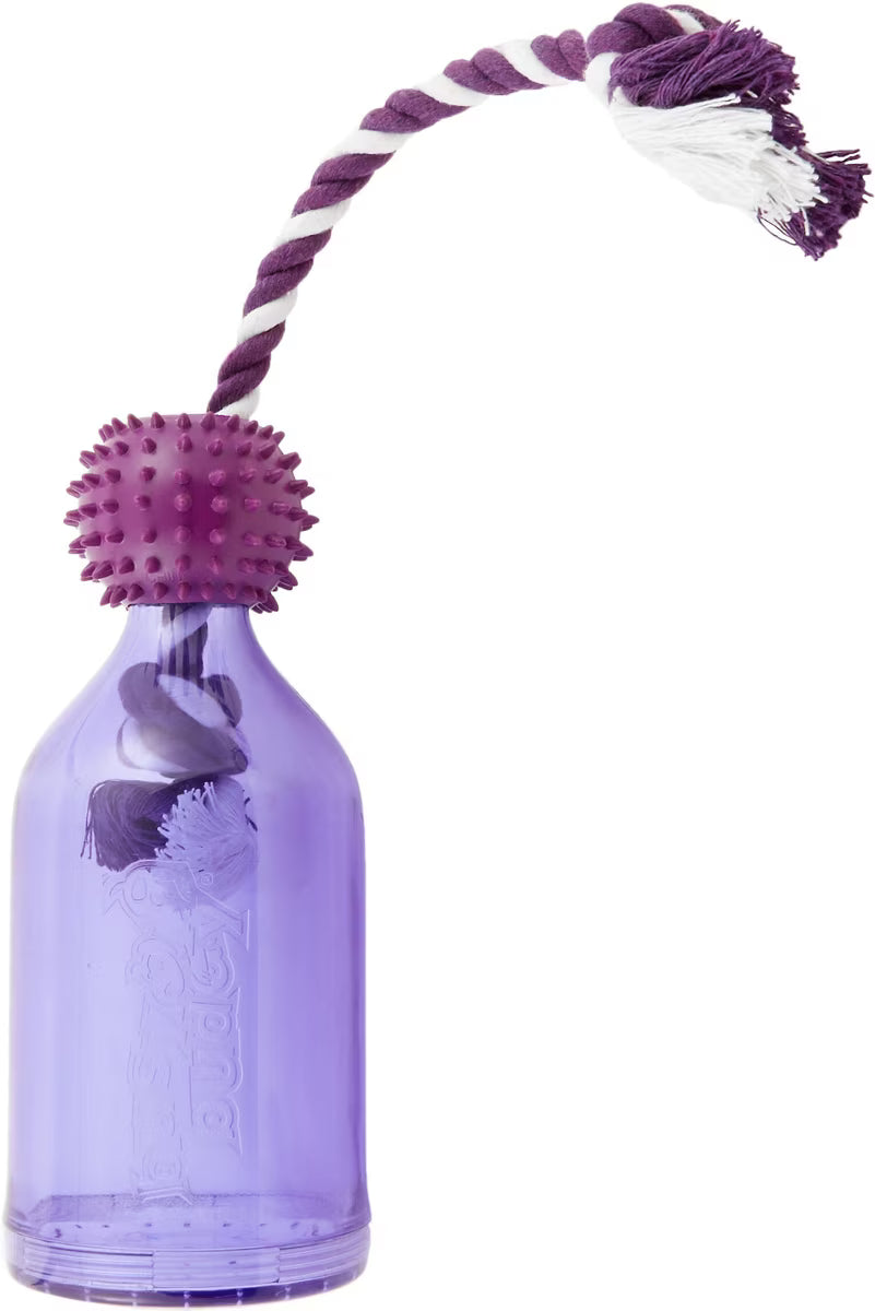 PetSafe Busy Buddy Tug-A-Jug XS