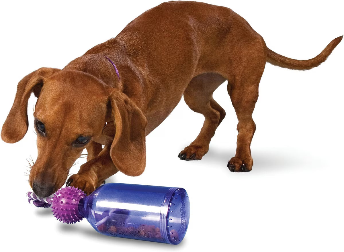 PetSafe Busy Buddy Tug-A-Jug XS