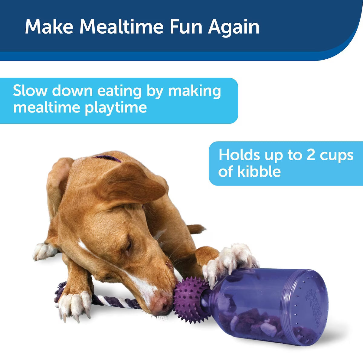 PetSafe Busy Buddy Tug-A-Jug XS