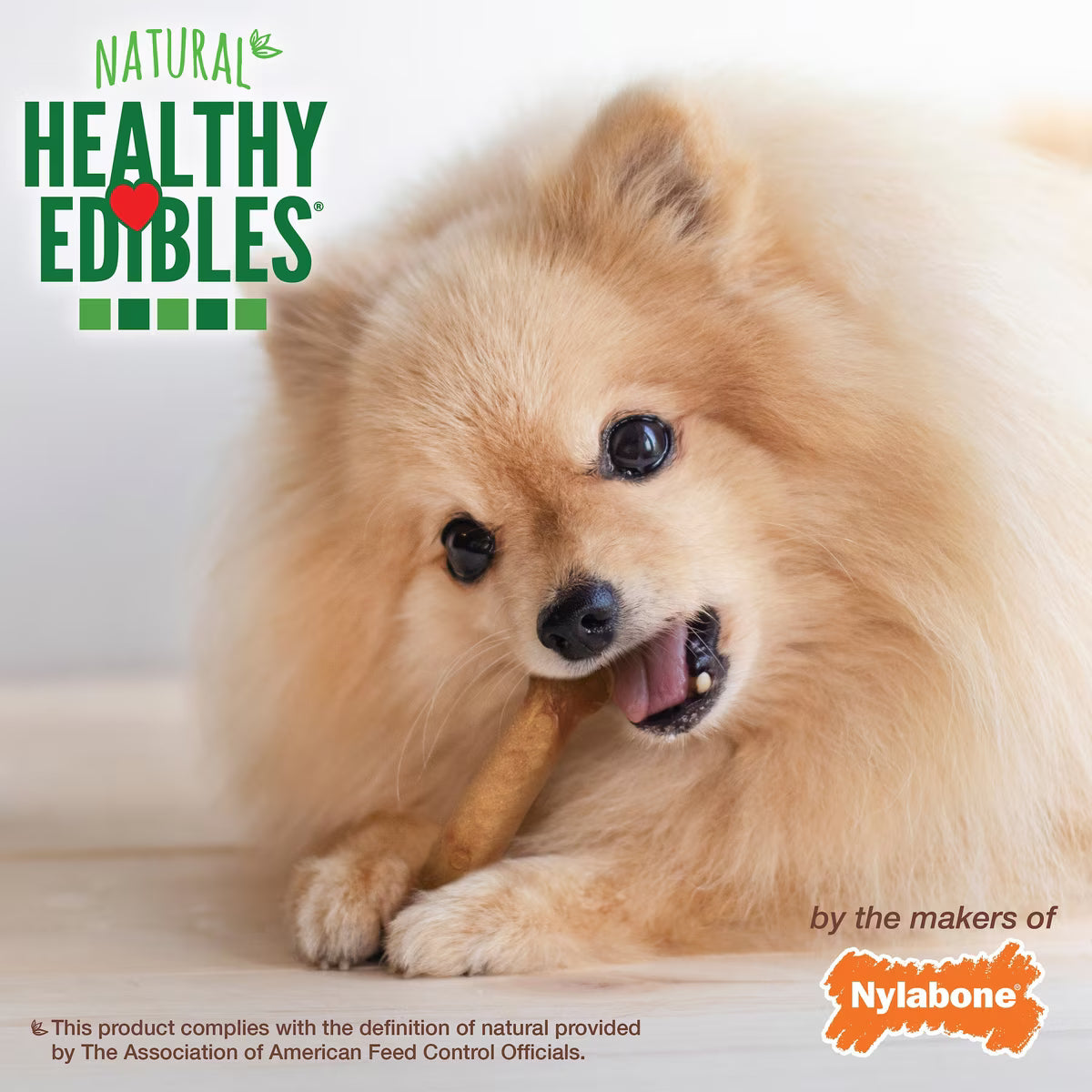 NYLABONE PETITE BACON 2PK