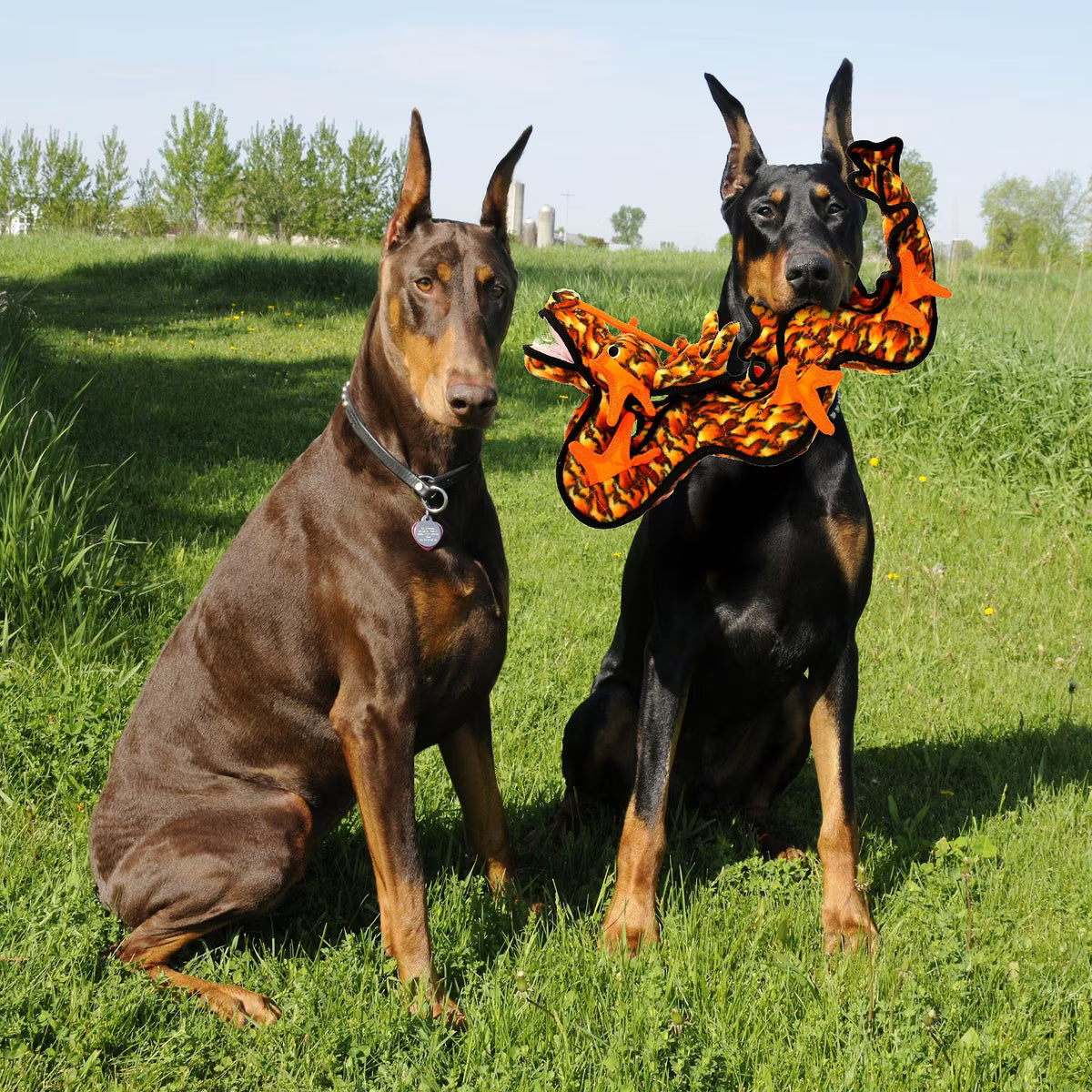 Tuffy's Dragon Dog Toy 21in
