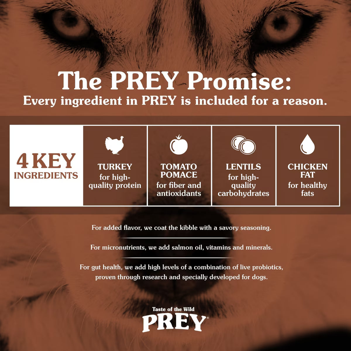 Taste of the Wild PREY Turkey All Life Stages Recipe Dry Dog Food 25lb