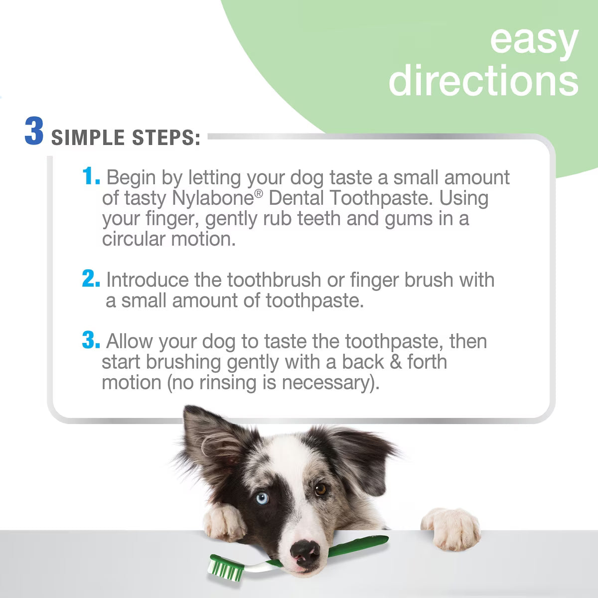 Nylabone Advanced Oral Care Natural Dog Dental Kit Peanut Butter Flavored