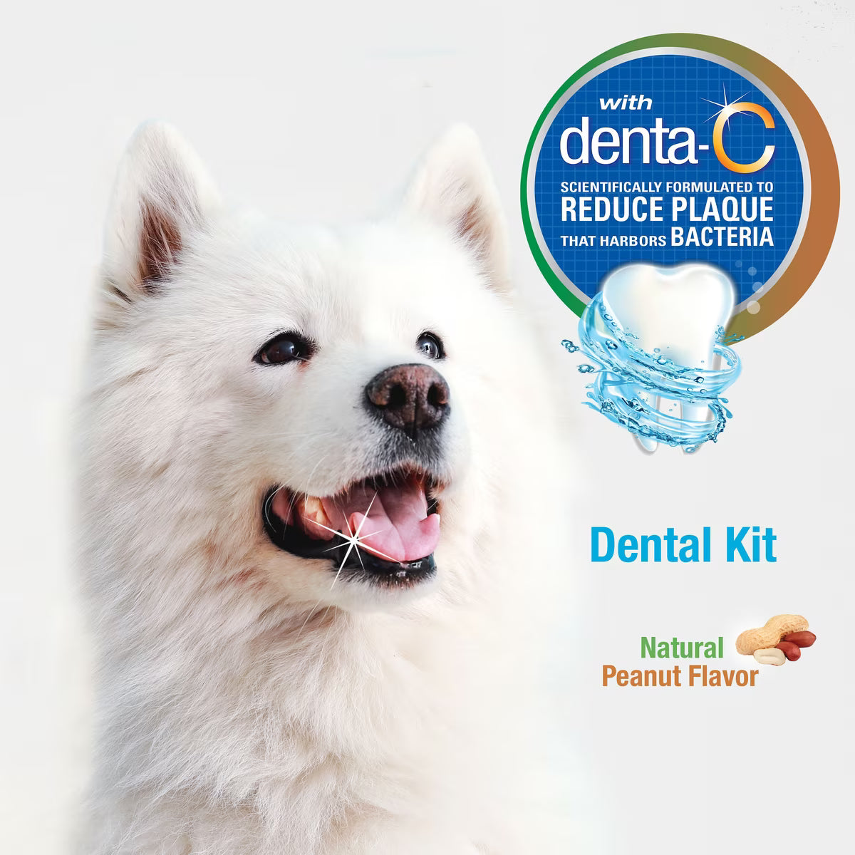 Nylabone Advanced Oral Care Natural Dog Dental Kit Peanut Butter Flavored