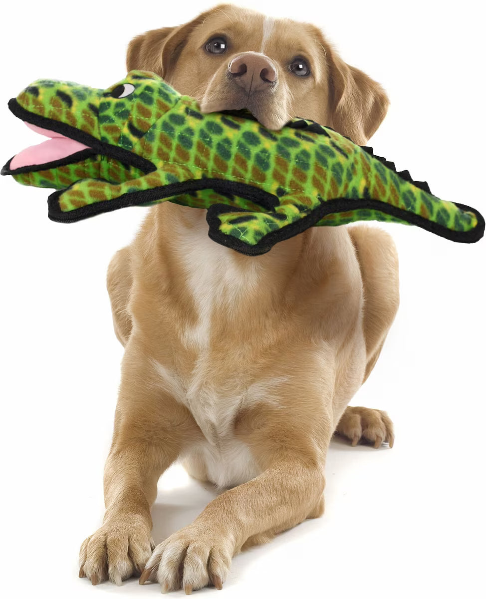 Tuffy's Ocean Creature Gary Gator Durable Plush Dog Toy