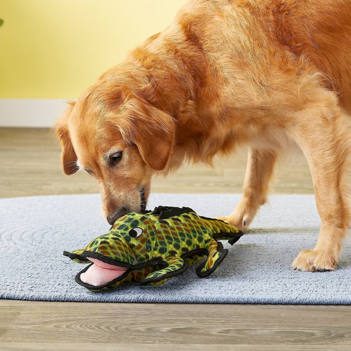 Tuffy's Ocean Creature Gary Gator Durable Plush Dog Toy
