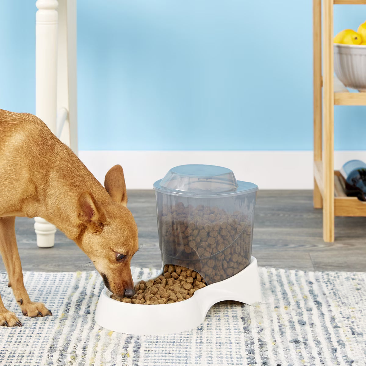 AUTO CAT FEEDER 3LB