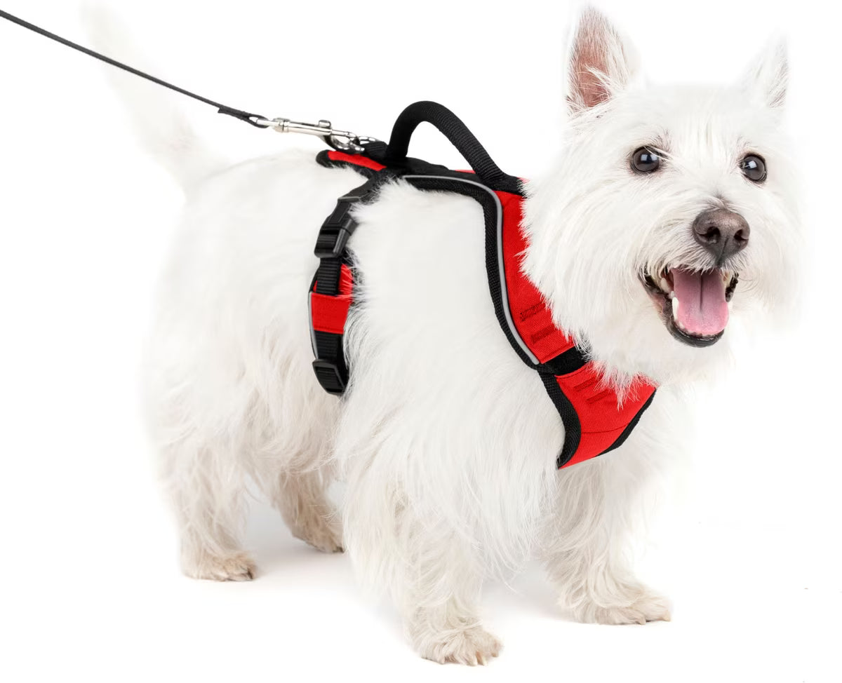 PetSafe EasySport Dog Harness Red Small