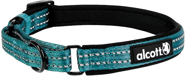 Alcott Adventures Reflective Martingale Dog Collar Small Blue