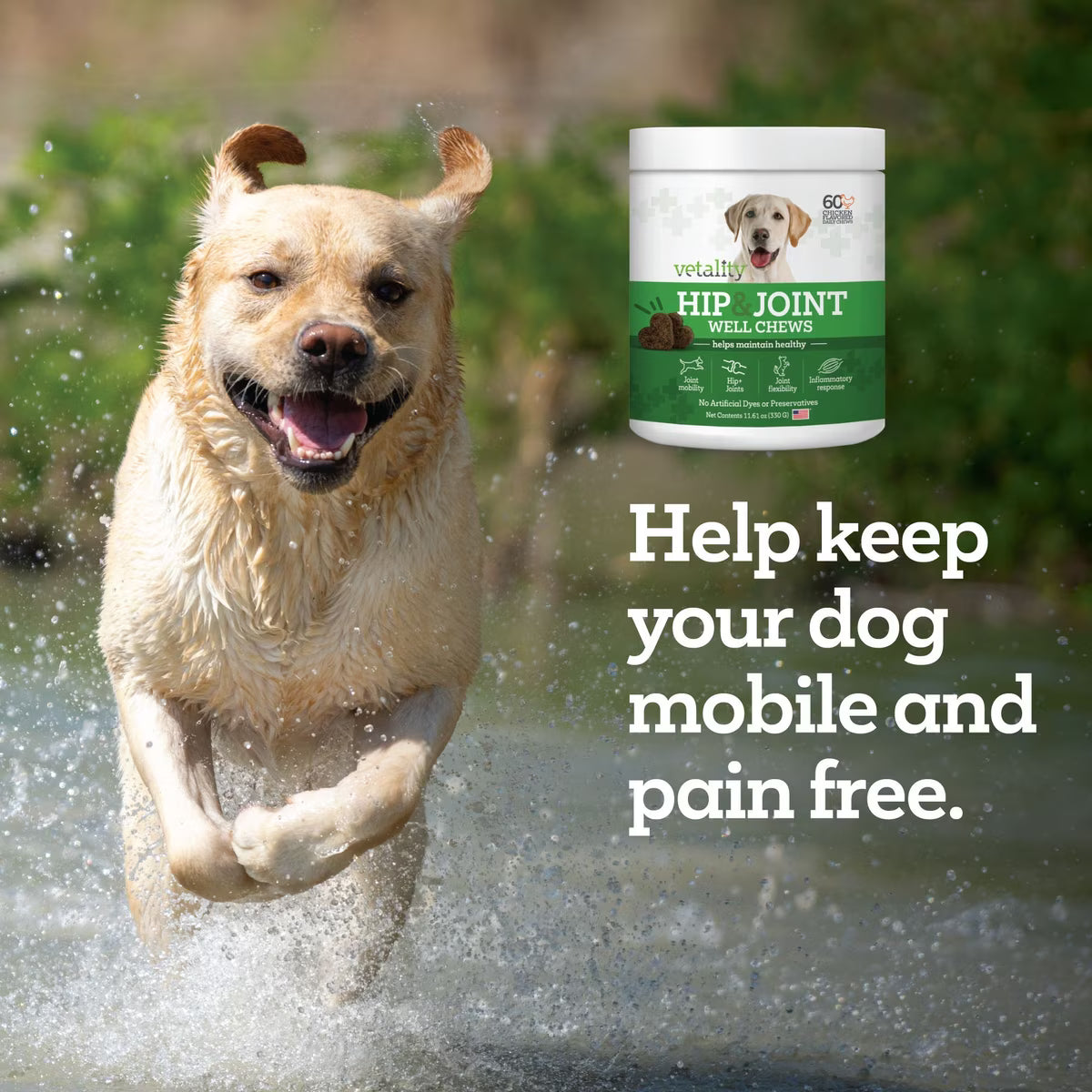 Vetality Hip & Joint Well Chews Supplement 10oz