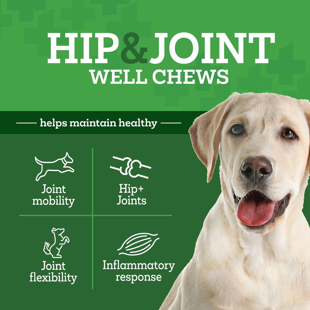Vetality Hip & Joint Well Chews Supplement 10oz