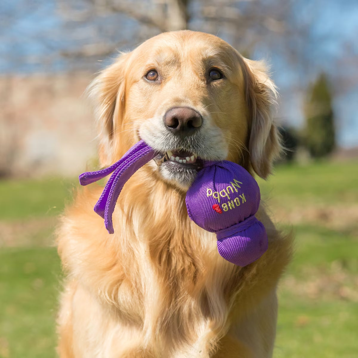 WUBBA WUBBA XL DOG TOY