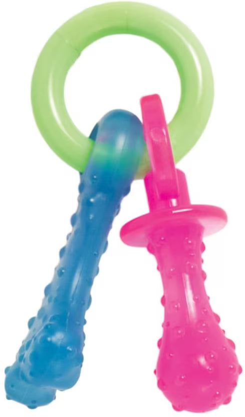 NYLABONE PUPPY PACIFIER XS
