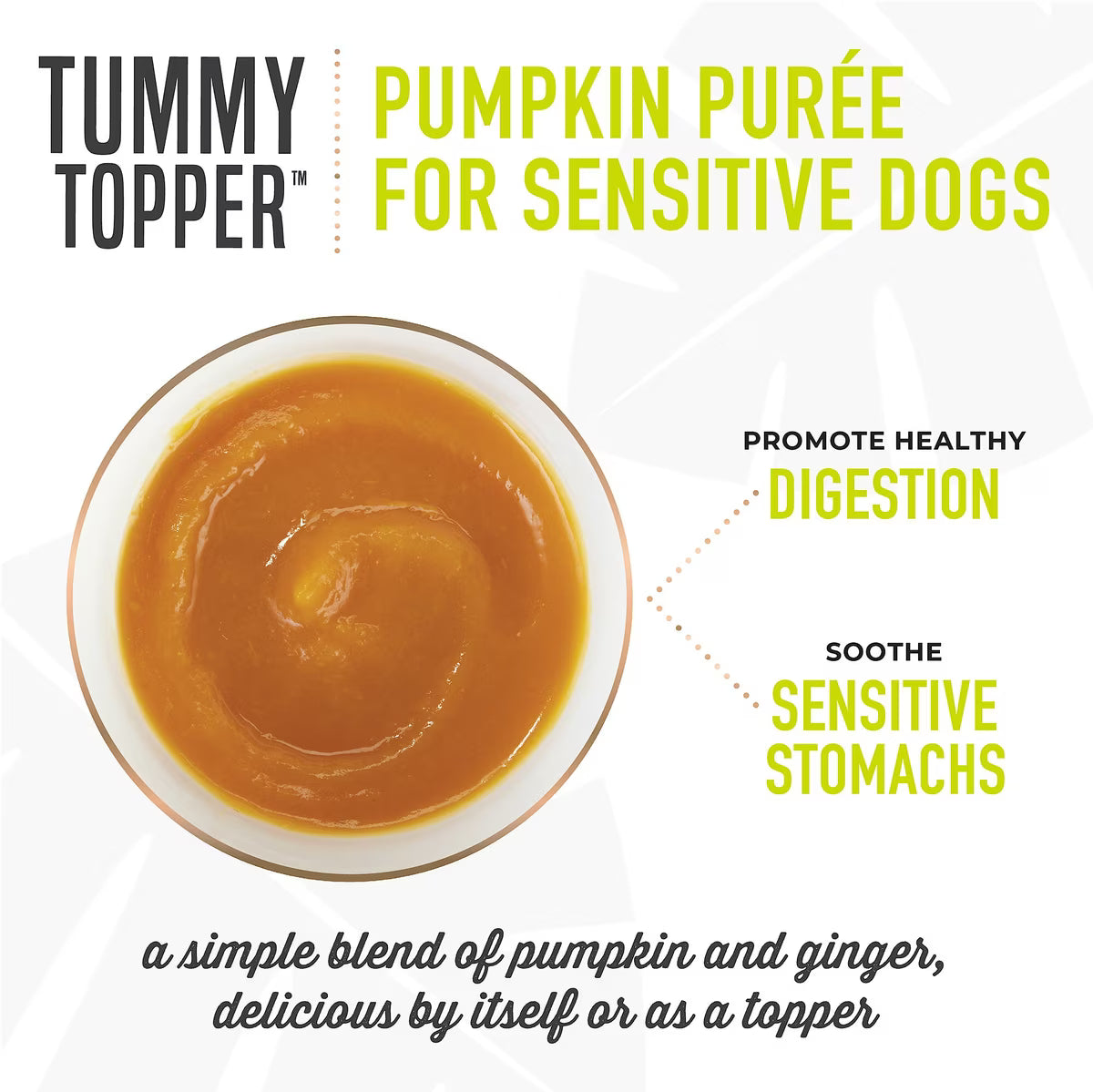 Tiki Dog Tummy Topper Pumpkin & Ginger Puree Grain-Free Wet Dog Food Topper 1.5oz