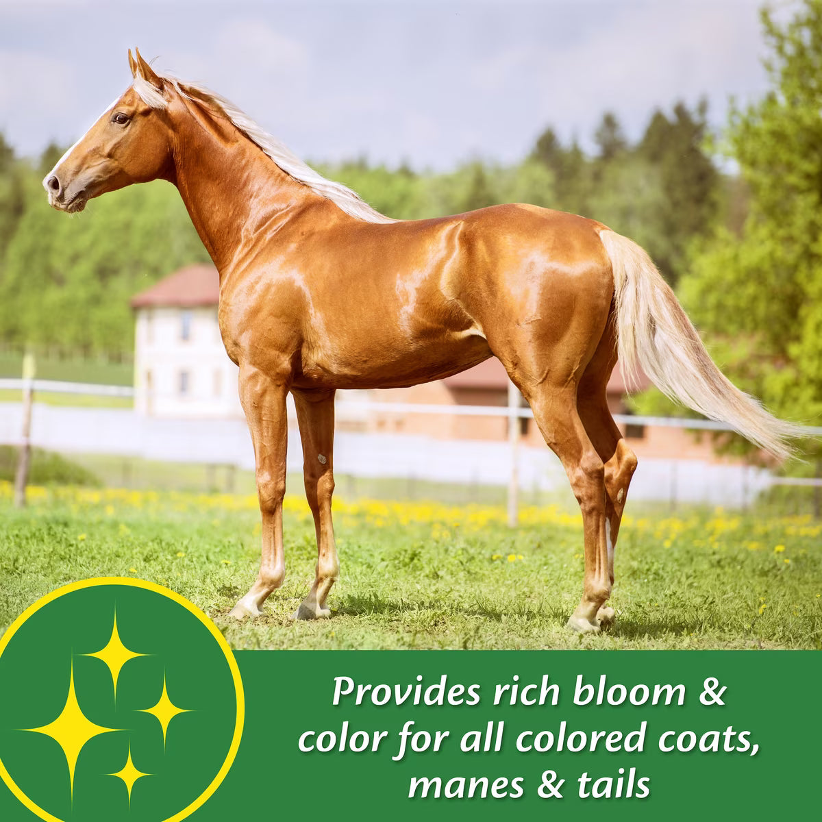 Farnam Super 14 Healthy Skin 7 Coat Granules for Horses 2.7lb