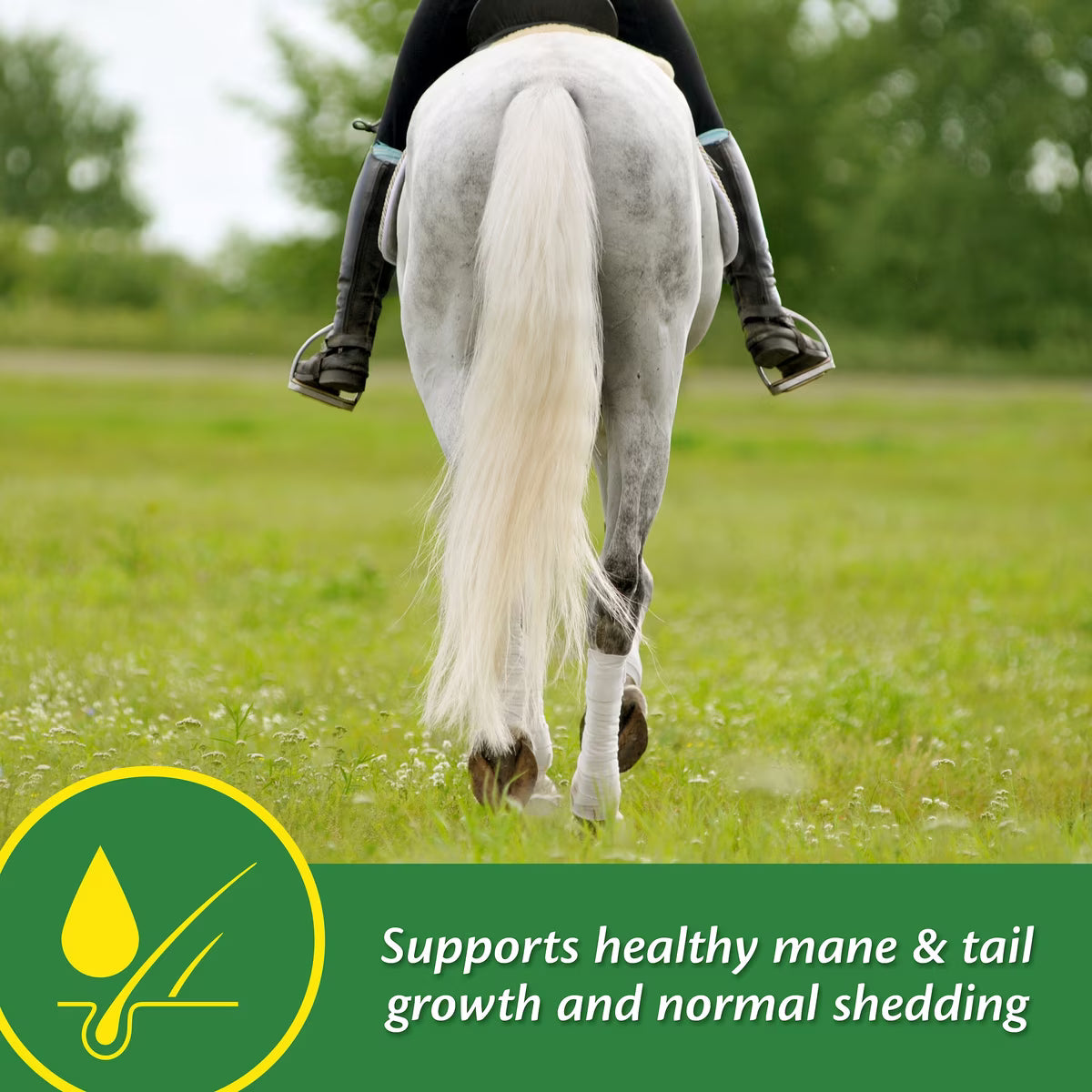 Farnam Super 14 Healthy Skin 7 Coat Granules for Horses 2.7lb