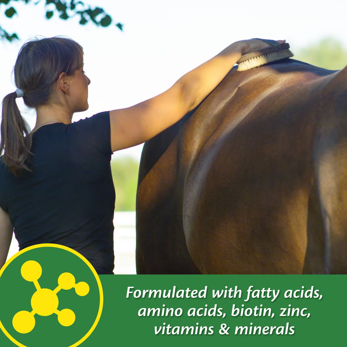 Farnam Super 14 Healthy Skin 7 Coat Granules for Horses 2.7lb
