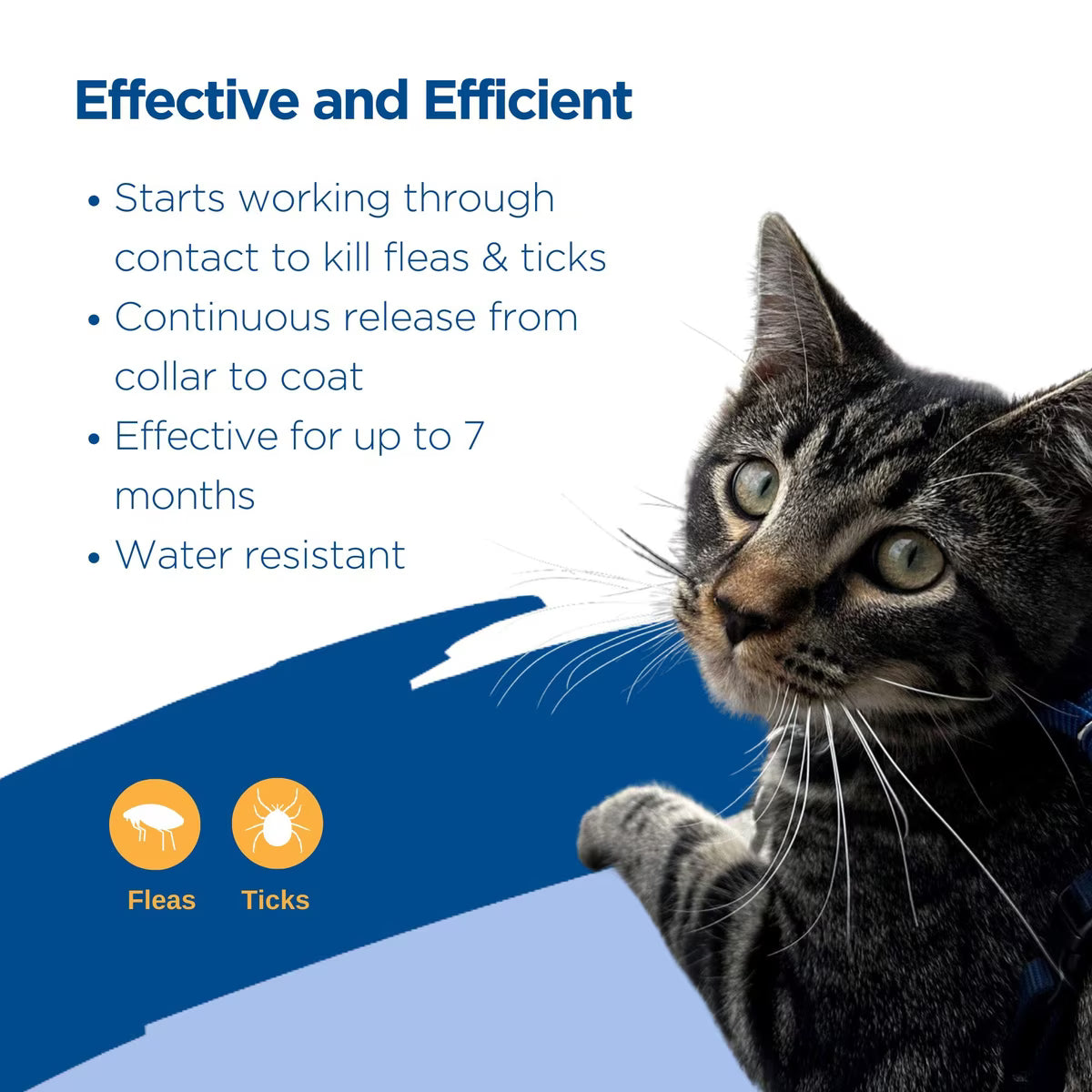 Zodiac Breakaway Flea and Tick Collar for Cats 1pk 7 Month Supply