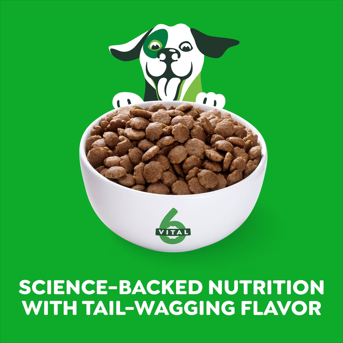 Greenies Smart Essentials Adult High Protein Real Chicken & Rice Recipe Dry Dog Food 6 LB
