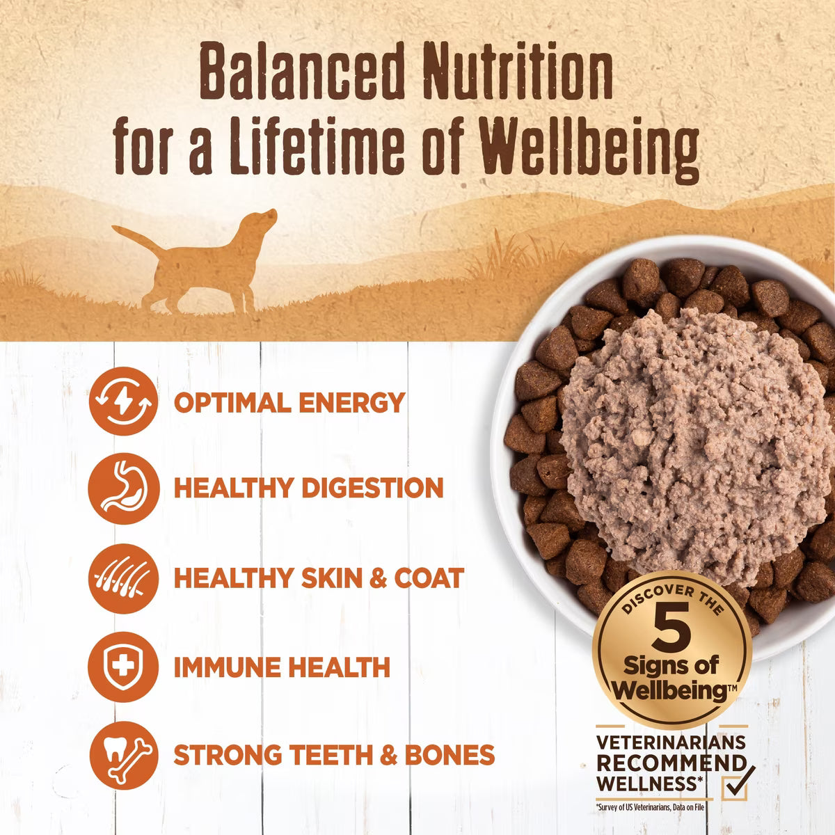 Wellness 95% Turkey Grain-Free Canned Dog Food 13.2oz