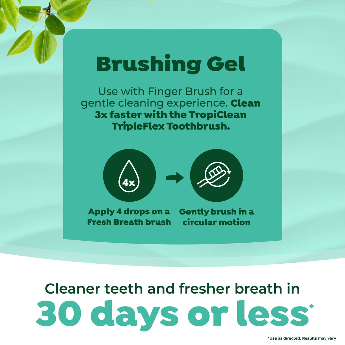 TropiClean Fresh Breath Oral Care Kit For Large Dogs