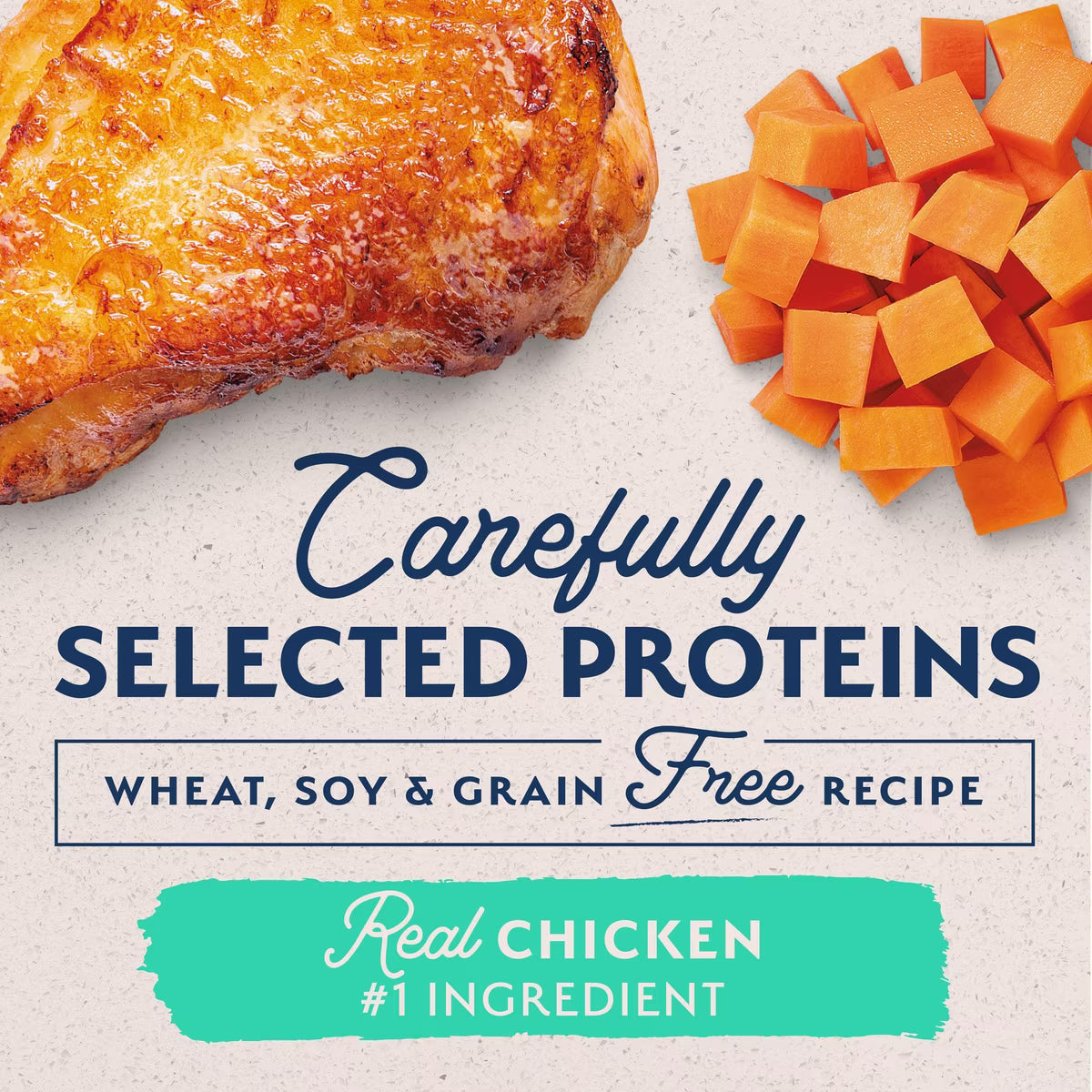 Natural Balance Limited Ingredient Chicken & Sweet Potato Recipe Grain-Free Canned Dog Food 13oz