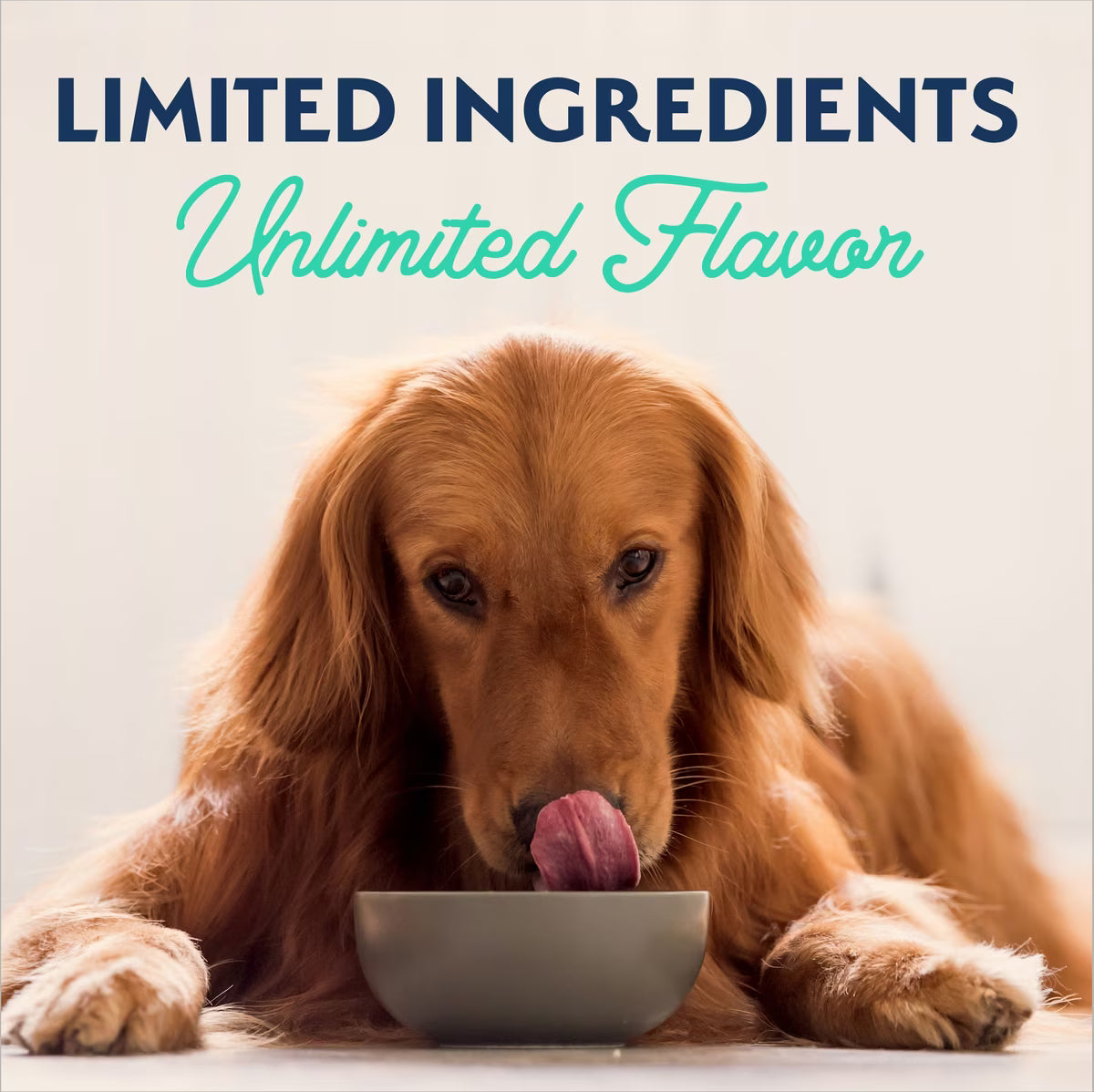 Natural Balance Limited Ingredient Chicken & Sweet Potato Recipe Grain-Free Canned Dog Food 13oz