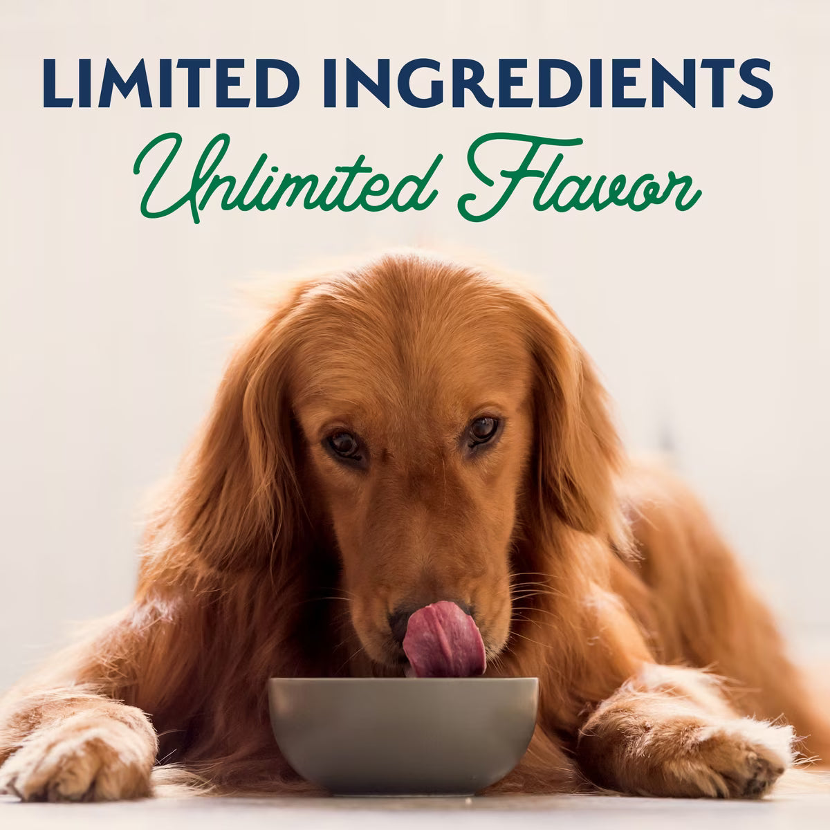 Natural Balance Limited Ingredient Lamb & Brown Rice Recipe Canned Dog Food 13oz