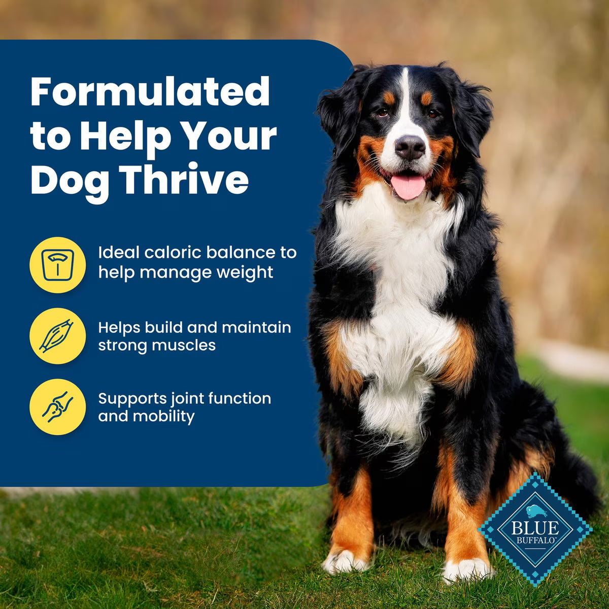 Blue Buffalo Life Protection Formula Healthy Weight Adult Chicken & Brown Rice Recipe Dry Dog Food 5LB