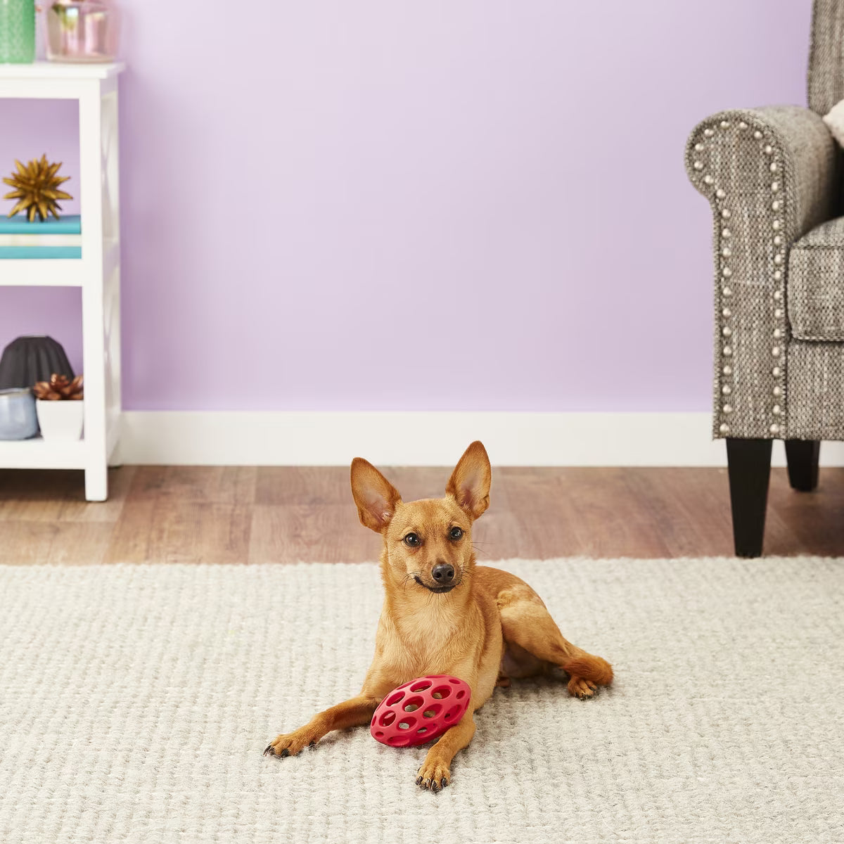 Jw Pet Hol-ee Football Dog Toy Small