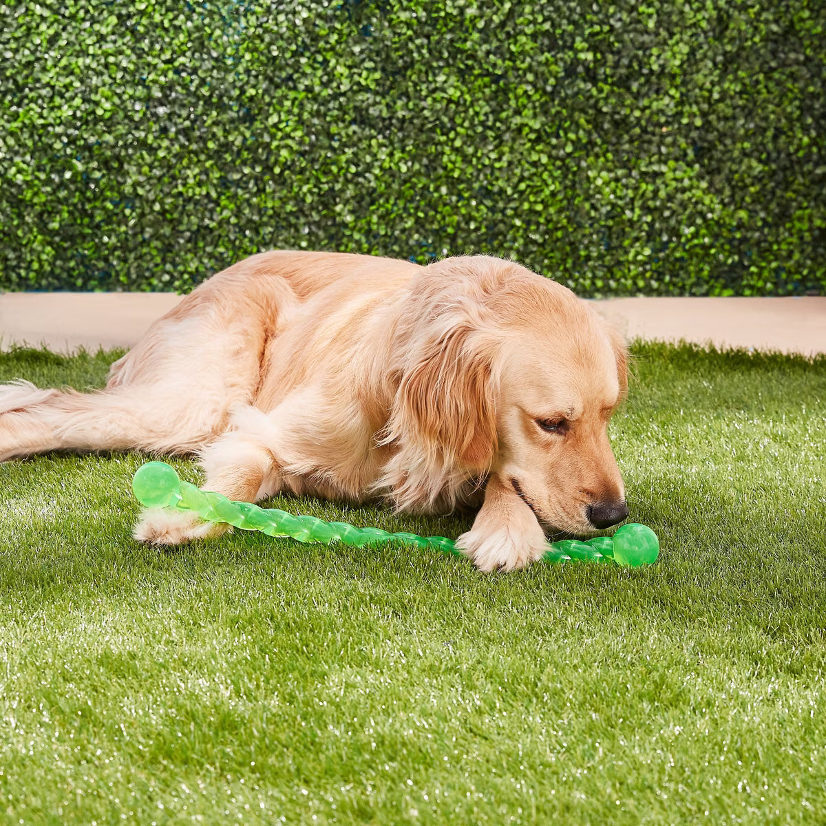 Kong Safestix MD Dog ASST   23