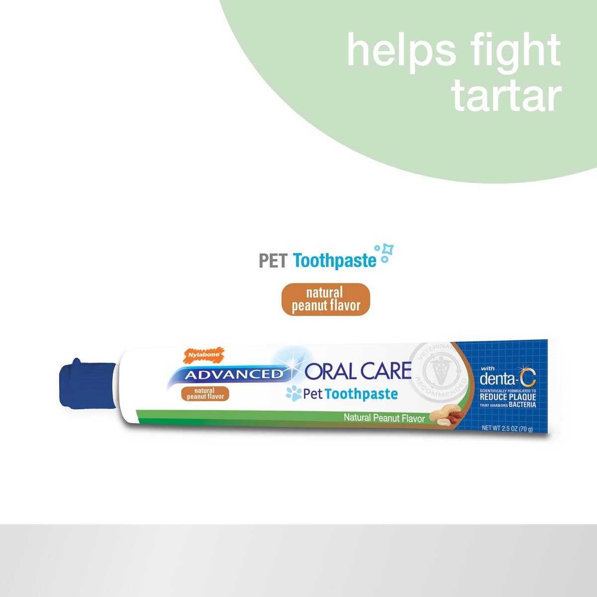 Nylabone Advanced Oral Care Natural Peanut Flavor Dog Toothpaste 2.5oz