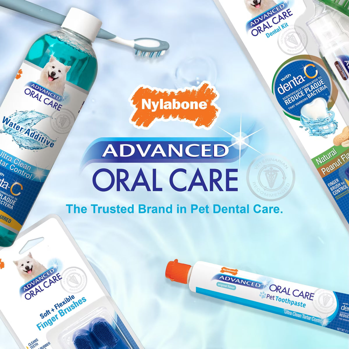Nylabone Advanced Oral Care Natural Peanut Flavor Dog Toothpaste 2.5oz