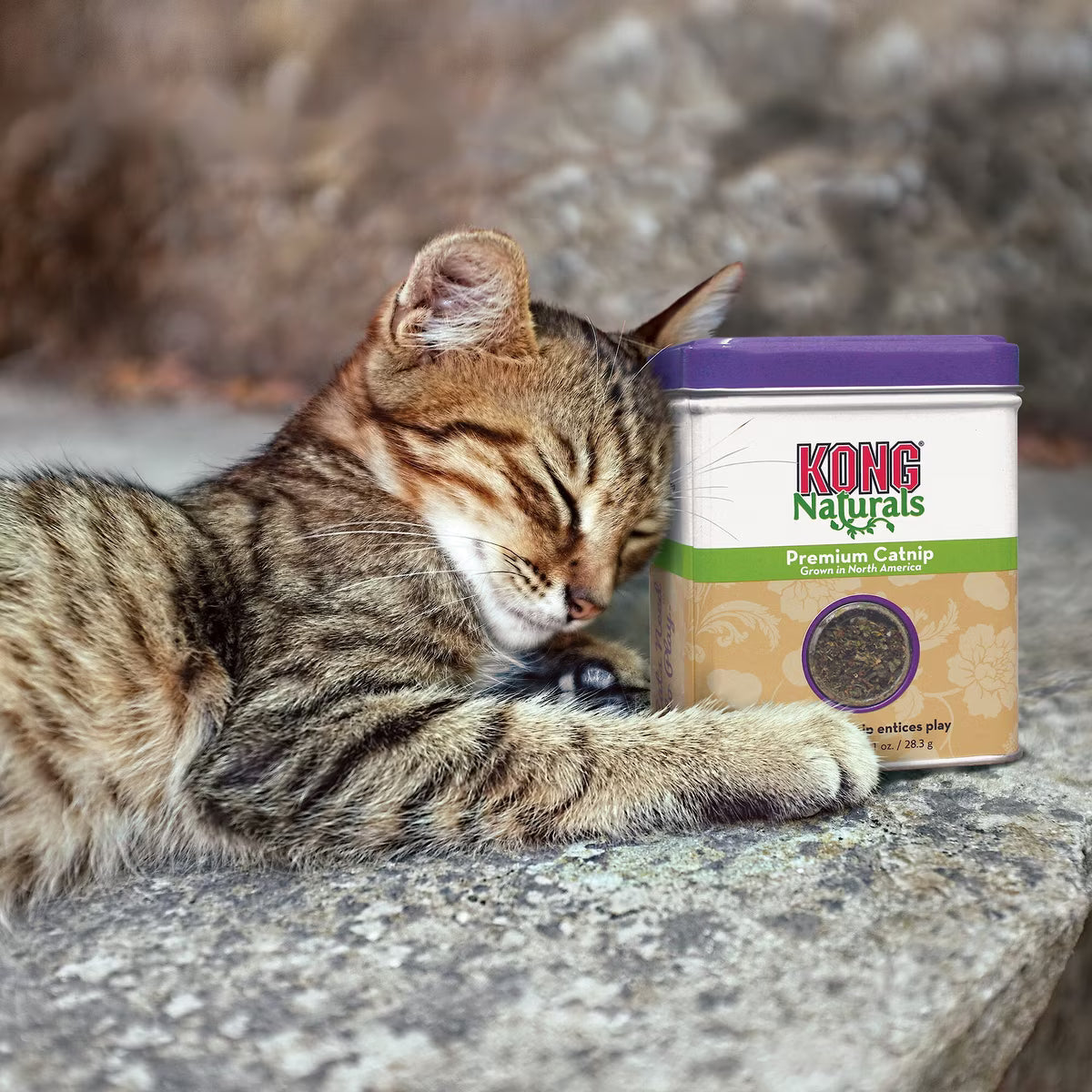 Kong Cat Premium Catnip      1