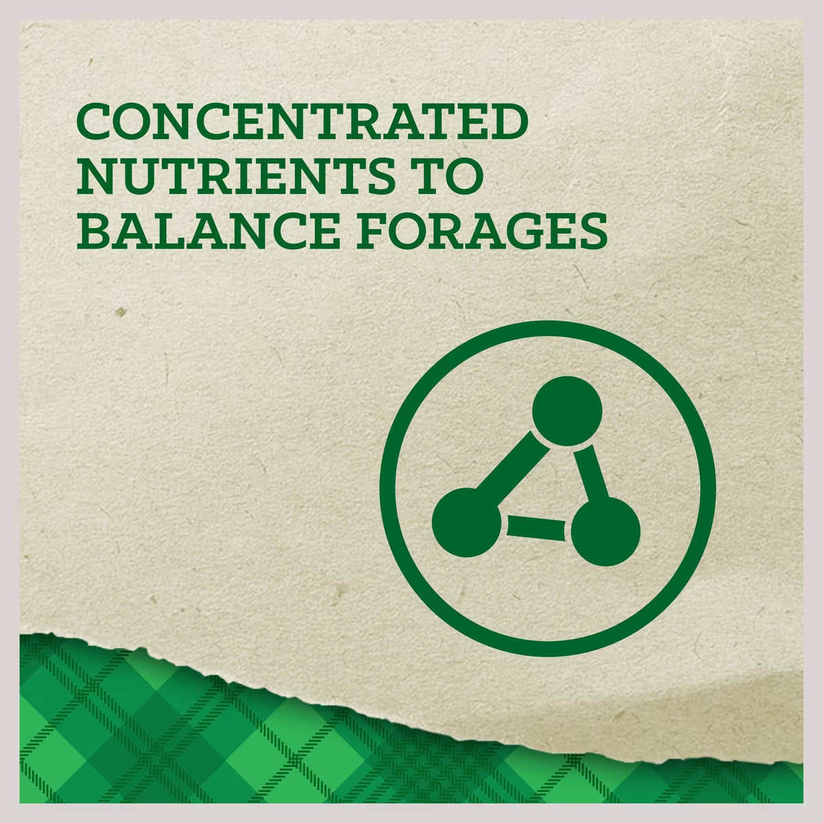 Nutrena Empower Topline Balance Horse Supplement 40lb