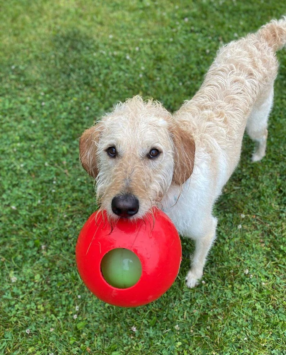 JOLLY BALL TEASER BALL RED 6"