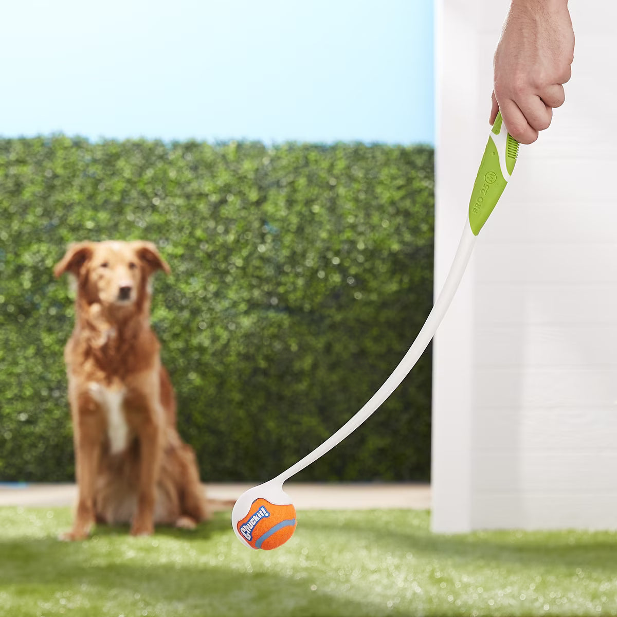 CHUCKIT PRO25M BALL LAUNCHER