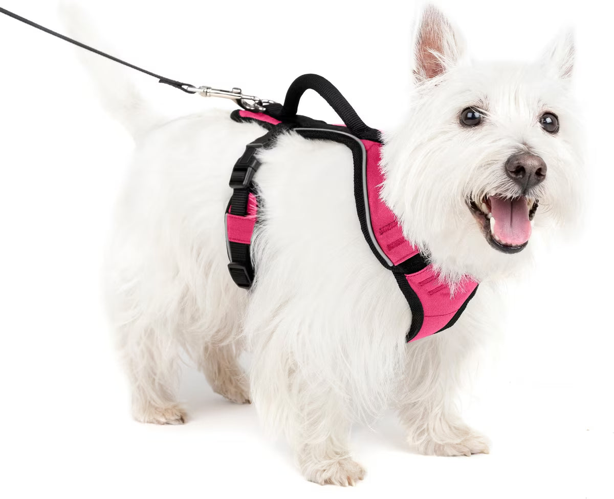 PetSafe EasySport Dog Harness Pink Small