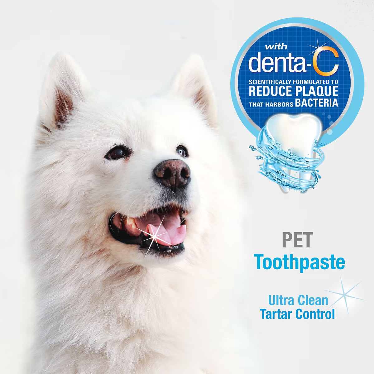Nylabone Advanced Oral Care Tartar Control Original Flavor Dog Toothpaste 2.5oz