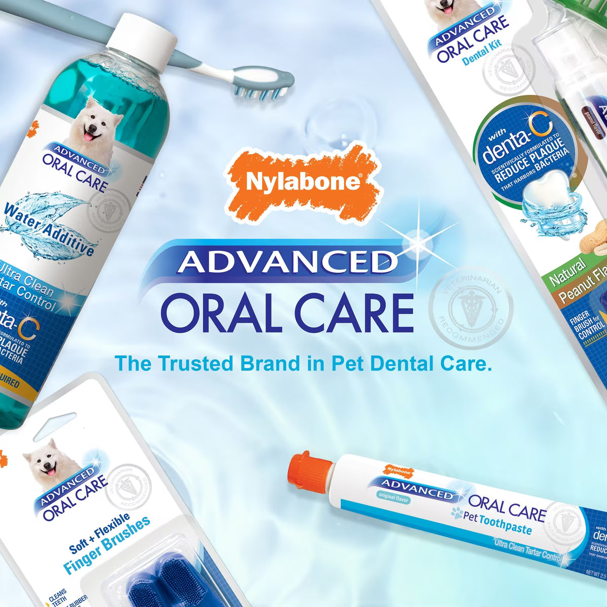 Nylabone Advanced Oral Care Tartar Control Original Flavor Dog Toothpaste 2.5oz
