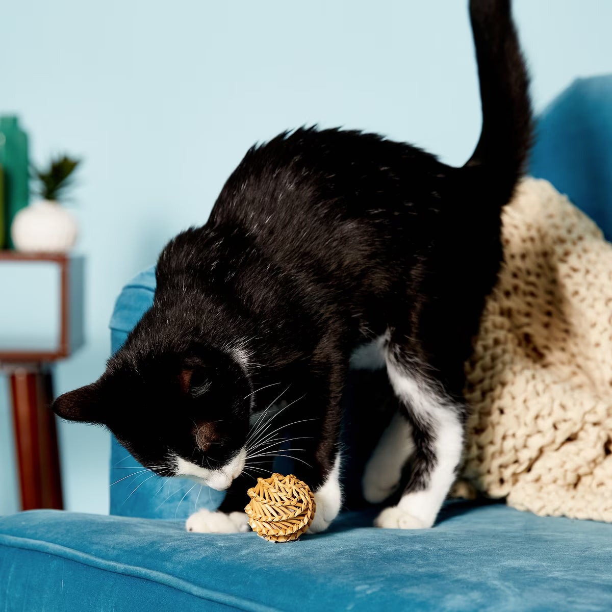 Kong Cat Straw Ball