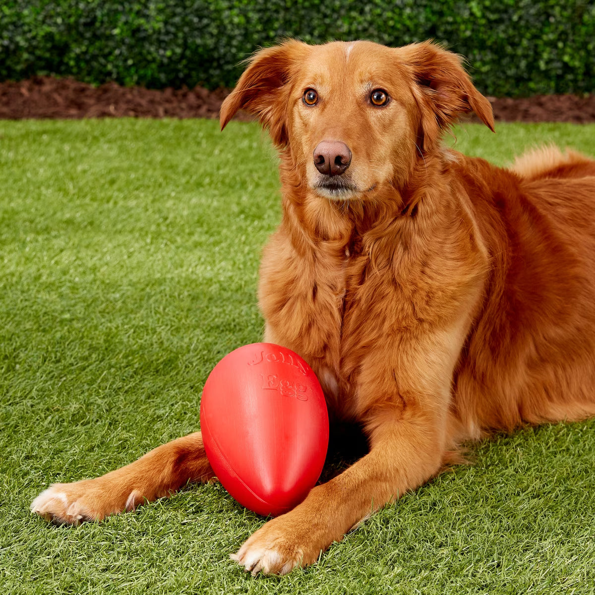 JOLLY EGG RED 8"