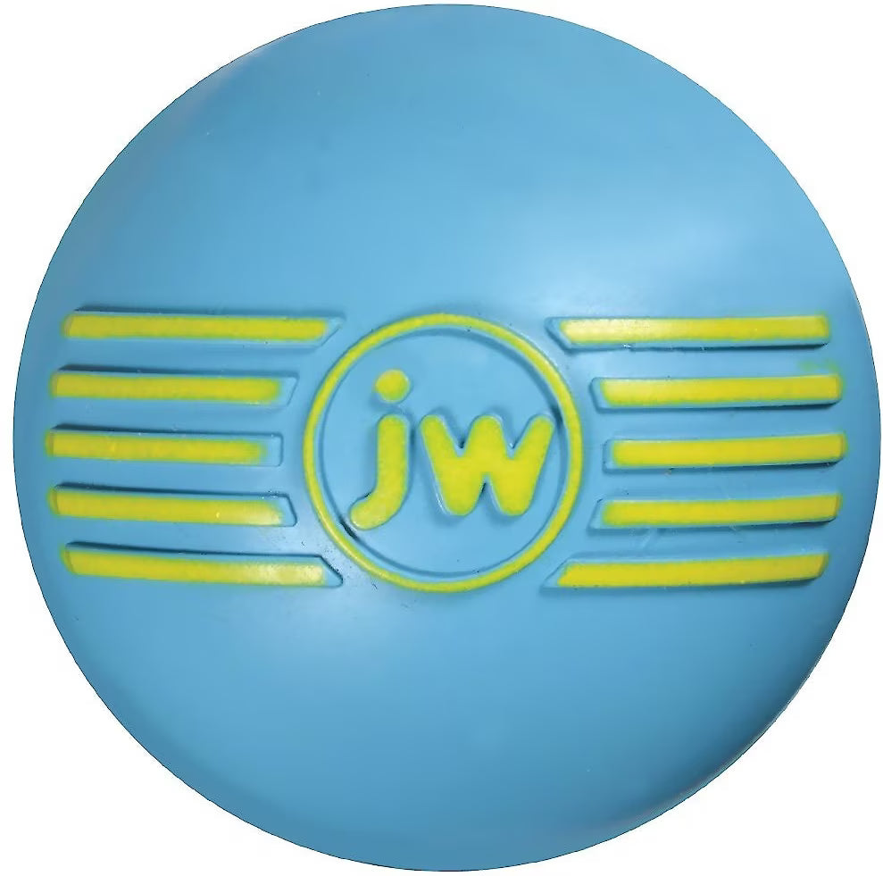 JW I SQUEAK BALL LRG