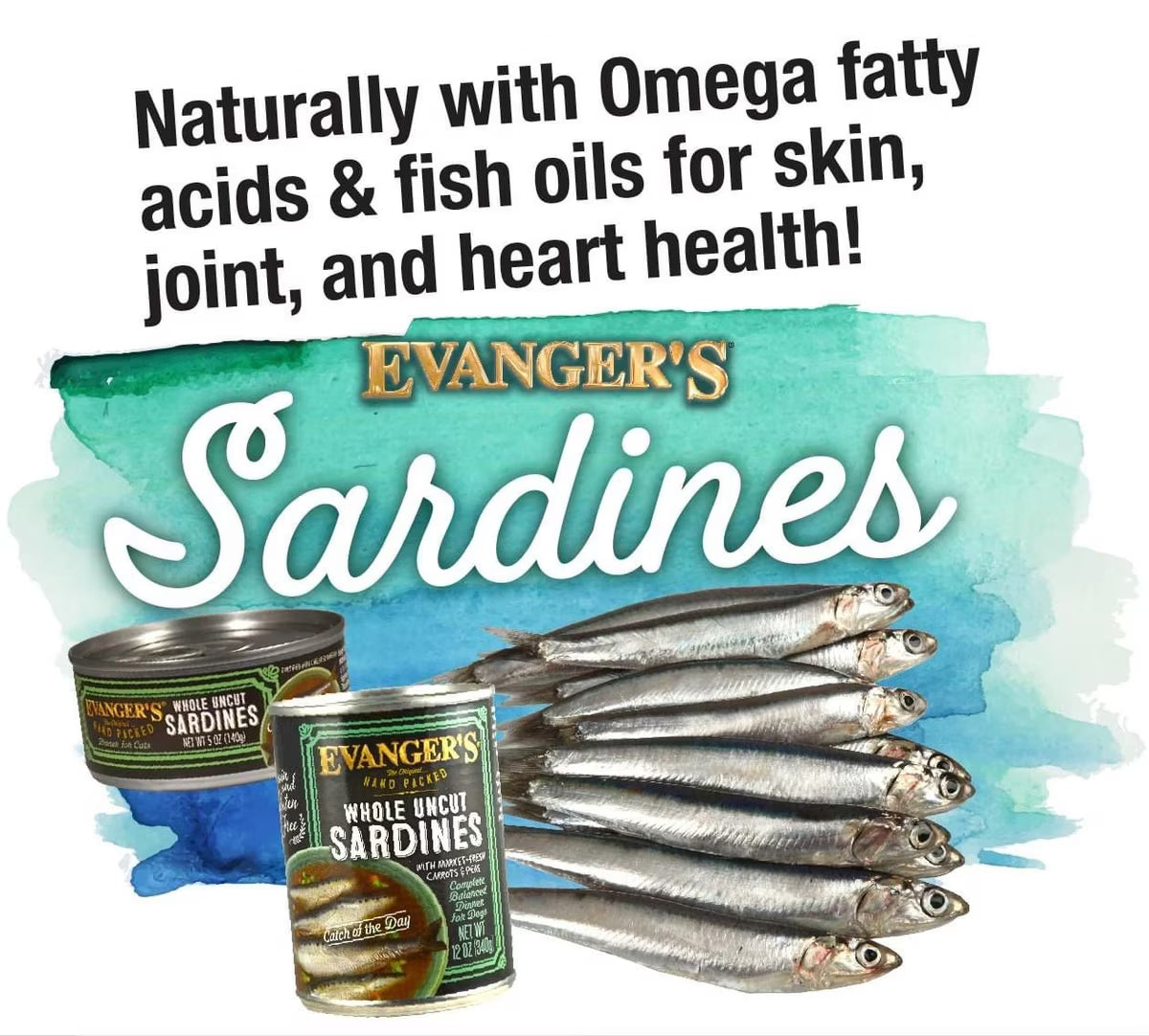 Evanger's Grain-Free Hand Packed Catch of the Day Canned Dog Food 12oz