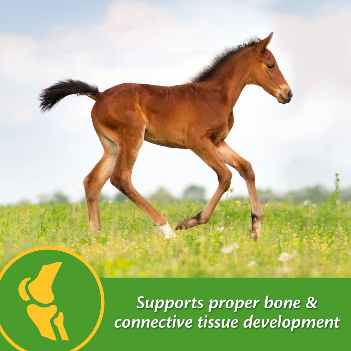 Farnam Grow Colt Growth & Development Horse Supplement Pellets 3.75lb