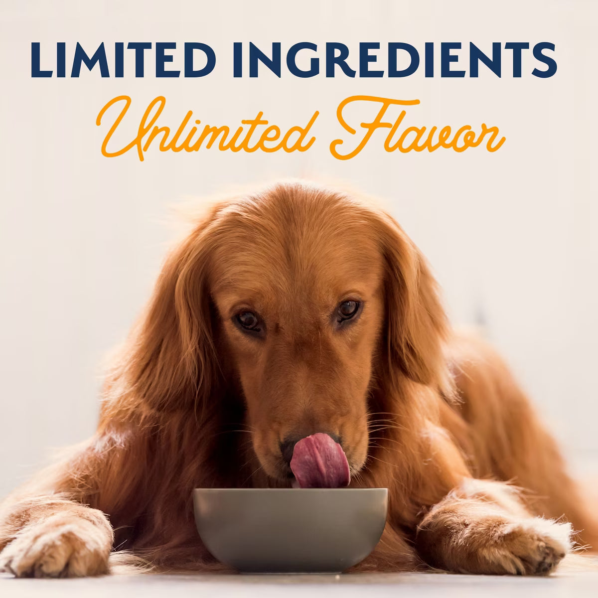 Natural Balance Limited Ingredient Duck & Potato Recipe Grain-Free Canned Dog Food 13oz